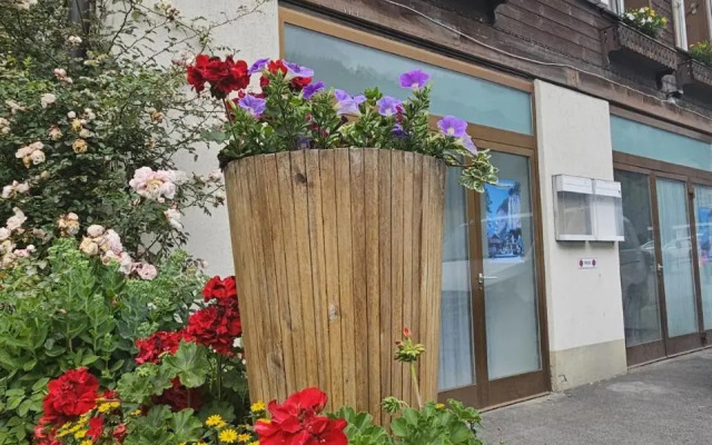 152 Years Old Charming Chalet - Lauterbrunnen