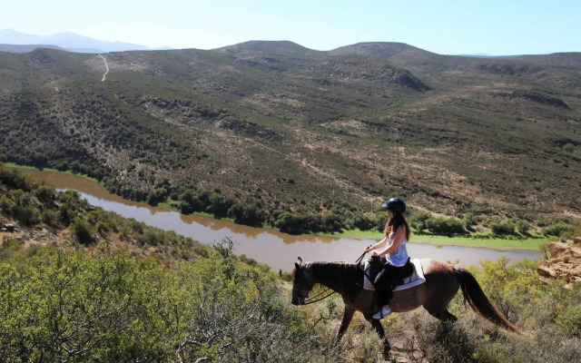 Madi-Madi Karoo Safari Lodge