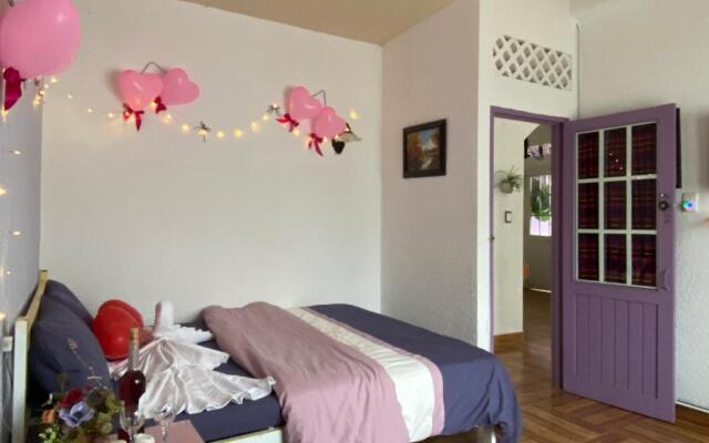 Nhà Tím Homestay