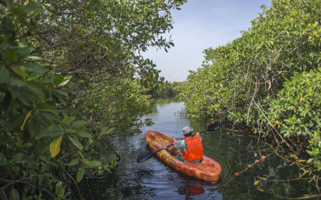 Maya Cabanas & Cenote Tulum