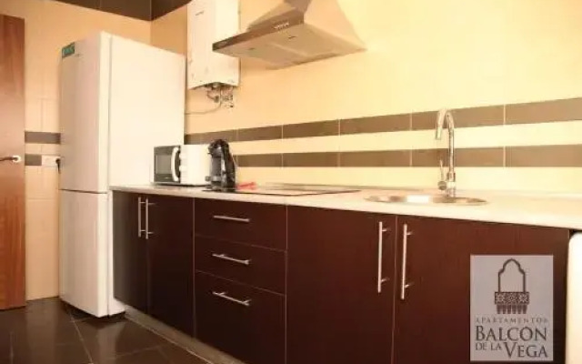 Apartamentos Balcón de la Vega