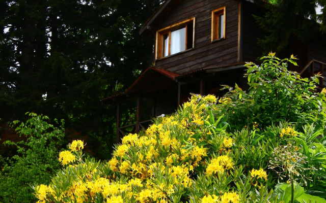 Hamsiköy Zitaş Bungalov & Restoran