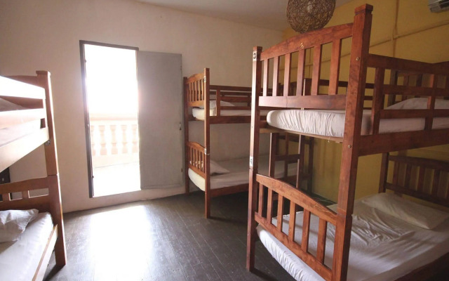 Cocoa Mews Cafe & Homestay - Hostel