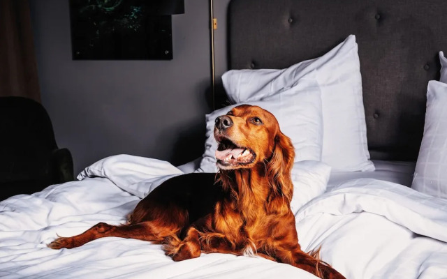 Hotell Sodra Berget