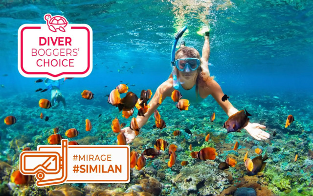 Mirage Express Patong Phuket Hotel