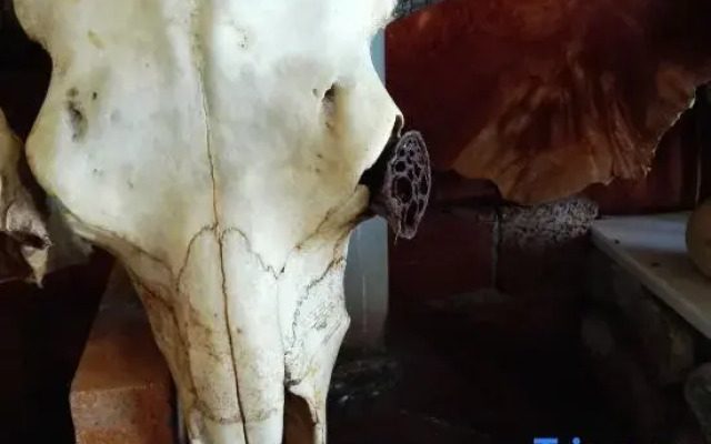 The inn of Sunshine fairy