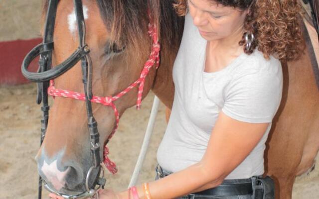 Cavallo Di Fiori - Agriscuderia