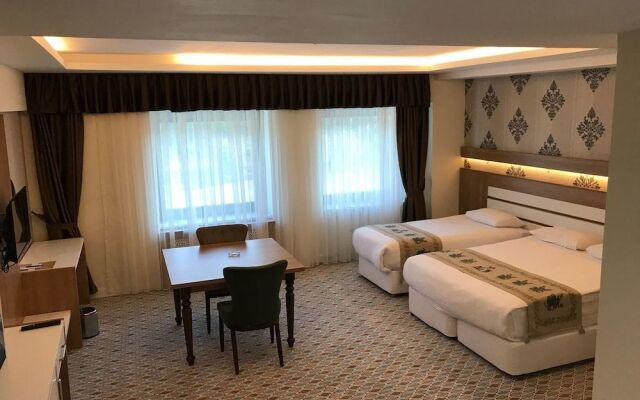 Grand Alin Hotel Tokat