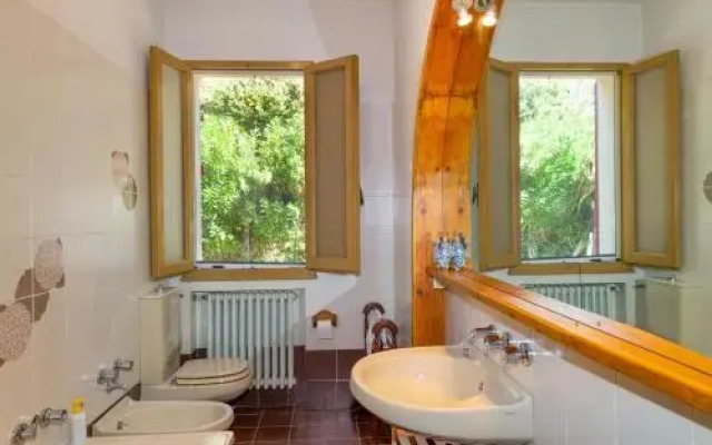 Ginestraio in Sant'Albino