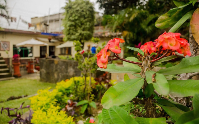Posada La Casa de Ana Tepoztlan