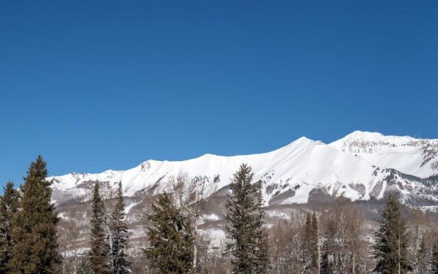 Bear Creek Lodge 209a 1 Bedroom Condo by Alpine Lodging Telluride