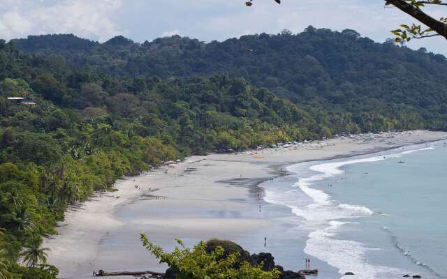 Arenas Del Mar Beachfront & Rainforest Member of the Cayuga Collection