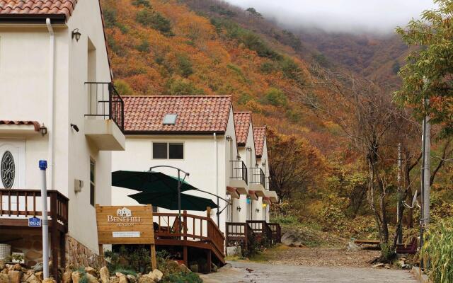 benehil pension