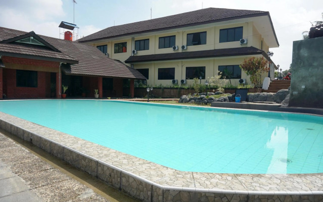 Gerbera hotel