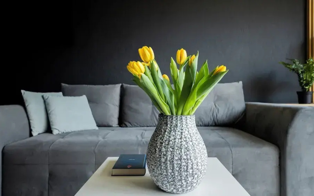 EASY RENT Apartments - AMBER 10