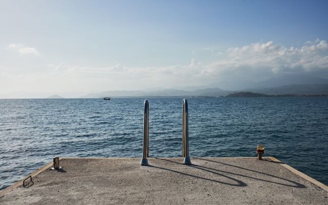Ada Dreams / Island