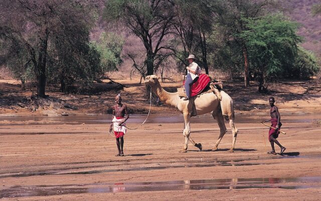 Samburu Intrepids Tented Camp