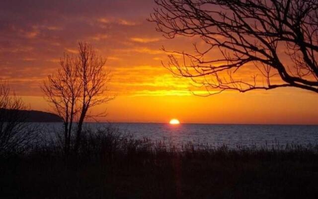 Schilfdachvilla Zeesboothaus WE308