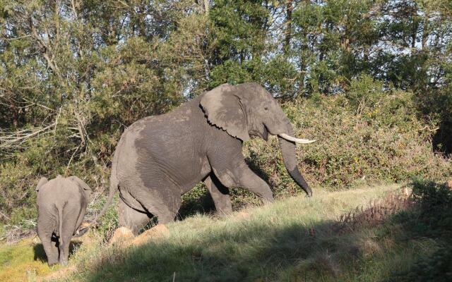 Gondwana Game Reserve