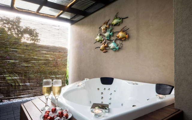 Seclude Rainforest Retreat