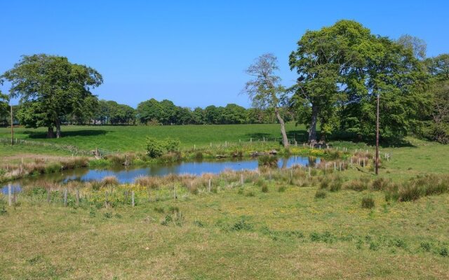 Williamscraig Holiday Cottages