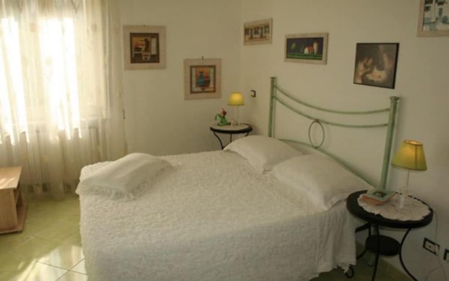 Il Tulipano