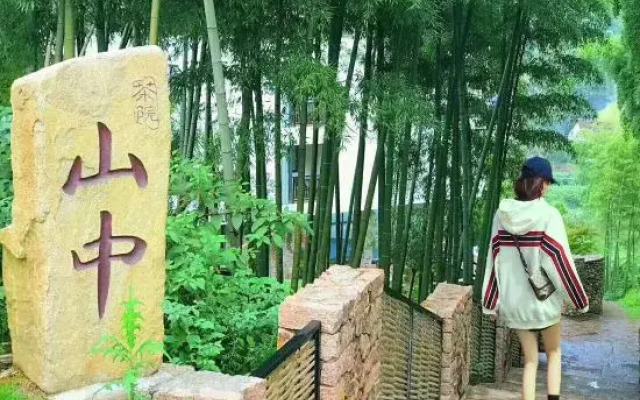 Mogan mountain holiday Villa