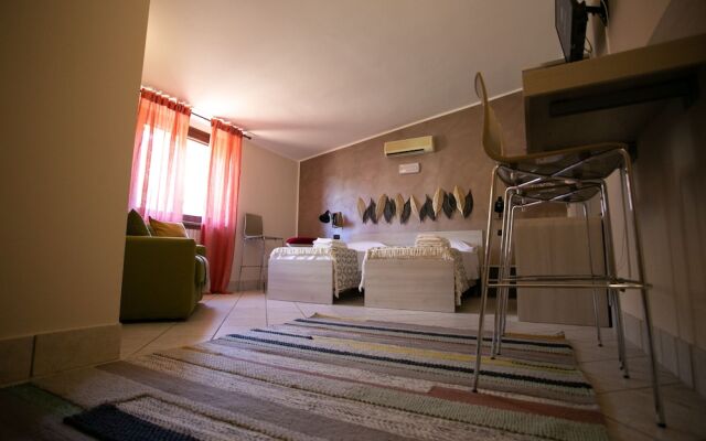 B&B Trepo