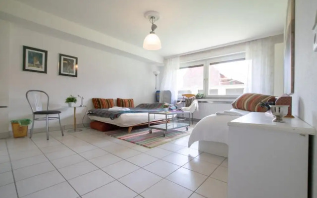 Tolstov-Hotels Big Room Apartment