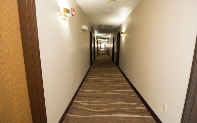 Super 8 Ohare Chicago Elk Grove Village