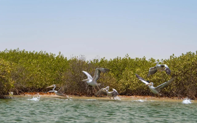 Le Saly Hotel & Club Les Filaos