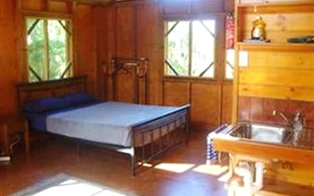 Daintree Rainforest Bungalows