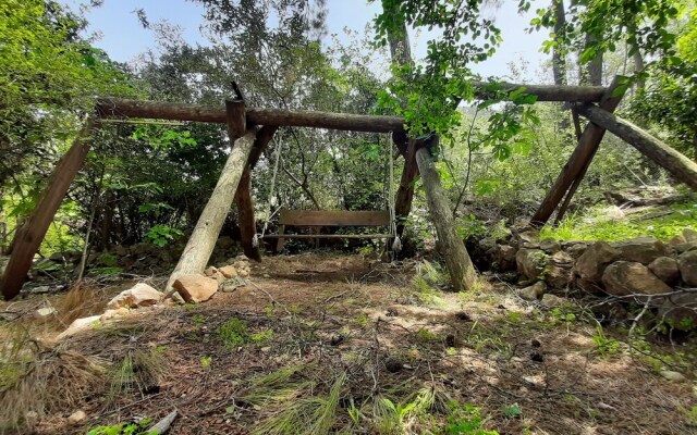 Altaris Bungalows Olympos