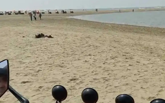 Dream Holiday Resort