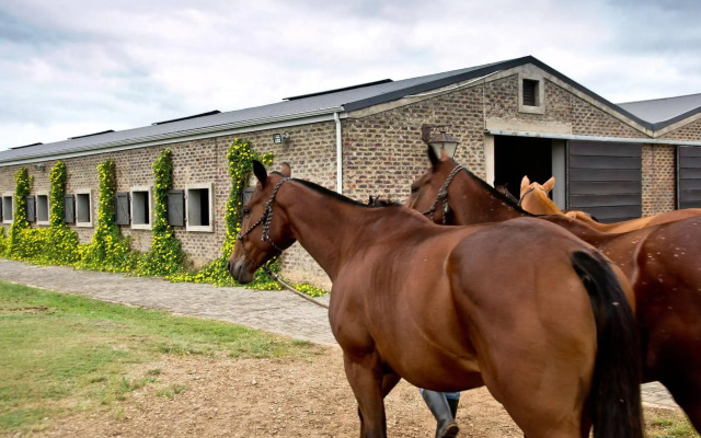 Country House at Kay & Monty