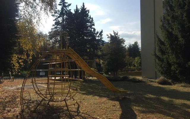 Eucalipto 2