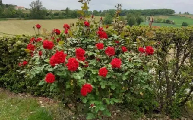 Gite de La Cheneraie