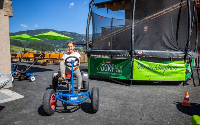 Bauernhof Vorderklinglhub &Landhaus Olga