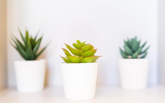 Flat 200M² 3 Bedrooms 2 Bathrooms - Naples