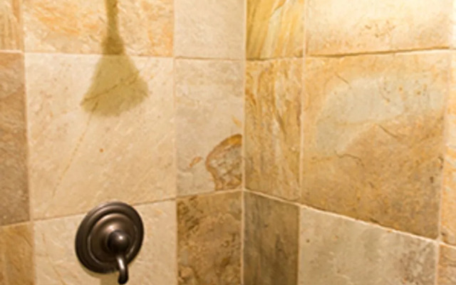 Lahaina Condo D106 - 1 Br Condo