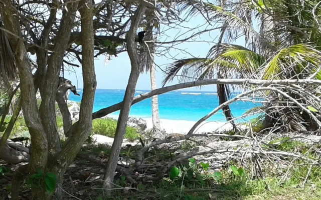 Tooj Cheel Lodge Tulum
