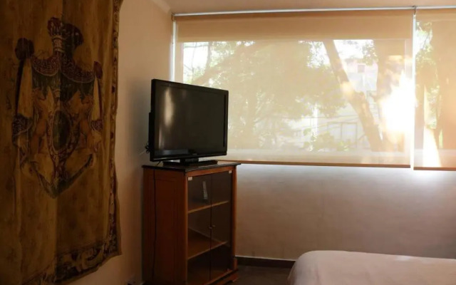 Luxurious & Chic 2 BR Apt Polanquito Lincon Park