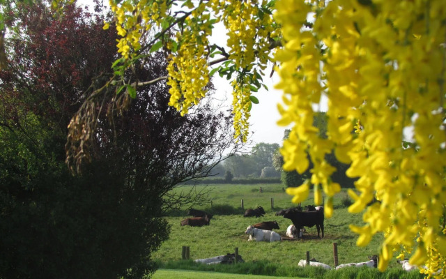 The Moorhead Bed & Breakfast