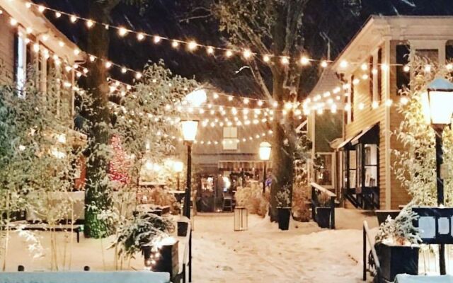 American Beech Hotel