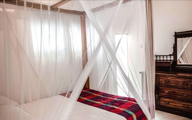 Serendipity House