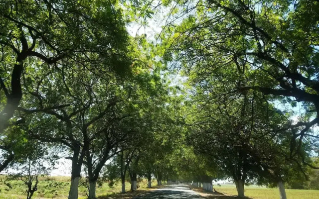 Romantic Seaside Casita w Pool AC Fire Sunsets