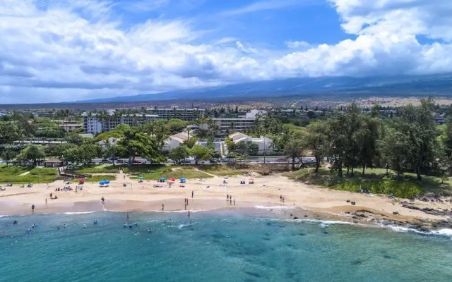 Maui Banyan Basic by AEI