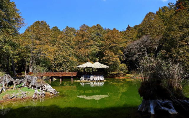 Alishan Mountains Are Green Hotel