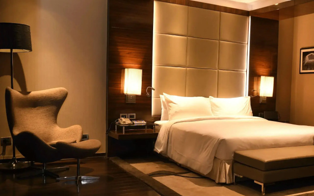 Radisson Blu Plaza Delhi Airport