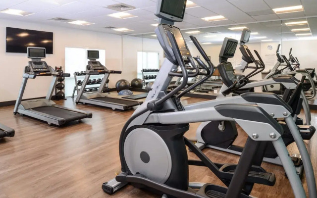 Holiday Inn Express & Suites Alachua - Gainesville Area by IHG